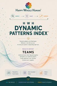 DPI Team Report