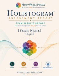 Holistogram aggregate report